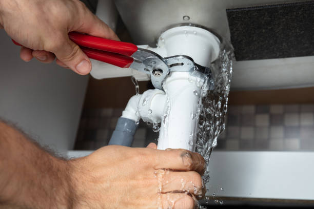 Best Mold removal after water damage  in Dunes City, OR