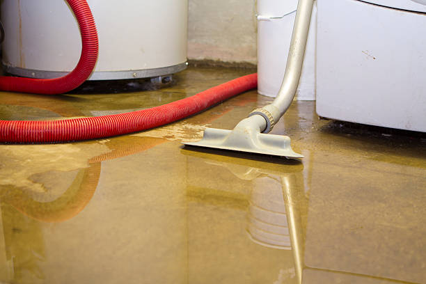 Best Flooded house restoration  in Dunes City, OR