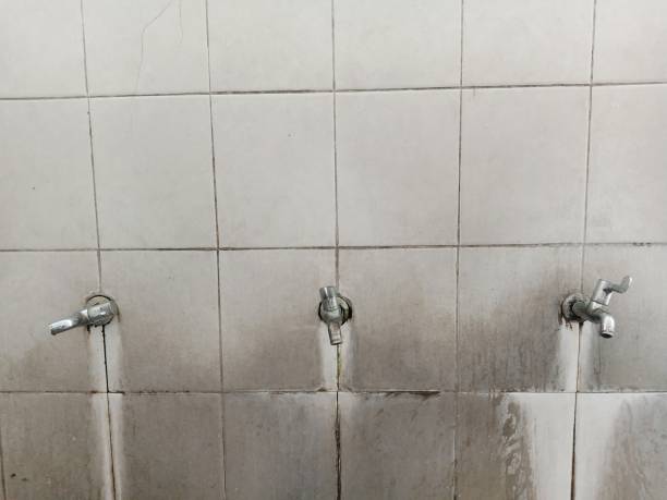 Best Local water damage restoration  in Dunes City, OR