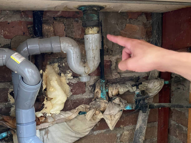 Best Fire Damage Restoration  in Dunes City, OR
