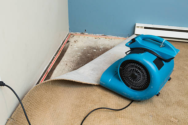 Best Commercial water damage restoration  in Dunes City, OR
